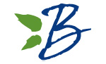 blueberry-sm-2