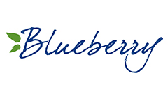 Blueberry